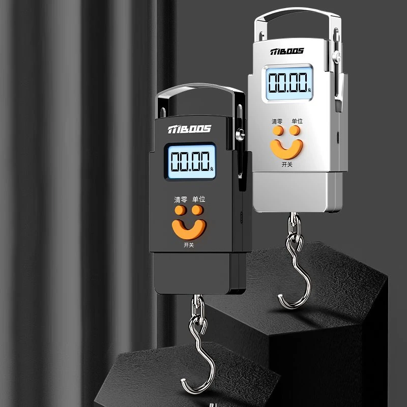 Accurate Portable Scale